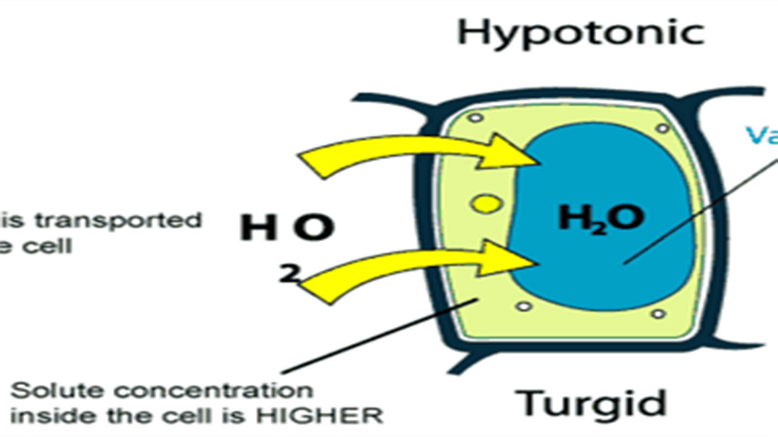 DE-DRIER 23G 脫水劑